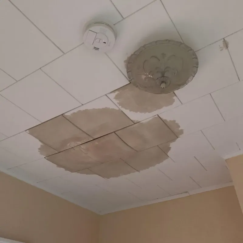 Ceiling Water Damage Repair in Manton, MI